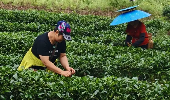 上海品茶新潮流：哪家茶室有茶餐？茶入菜到底好吃吗？🍵